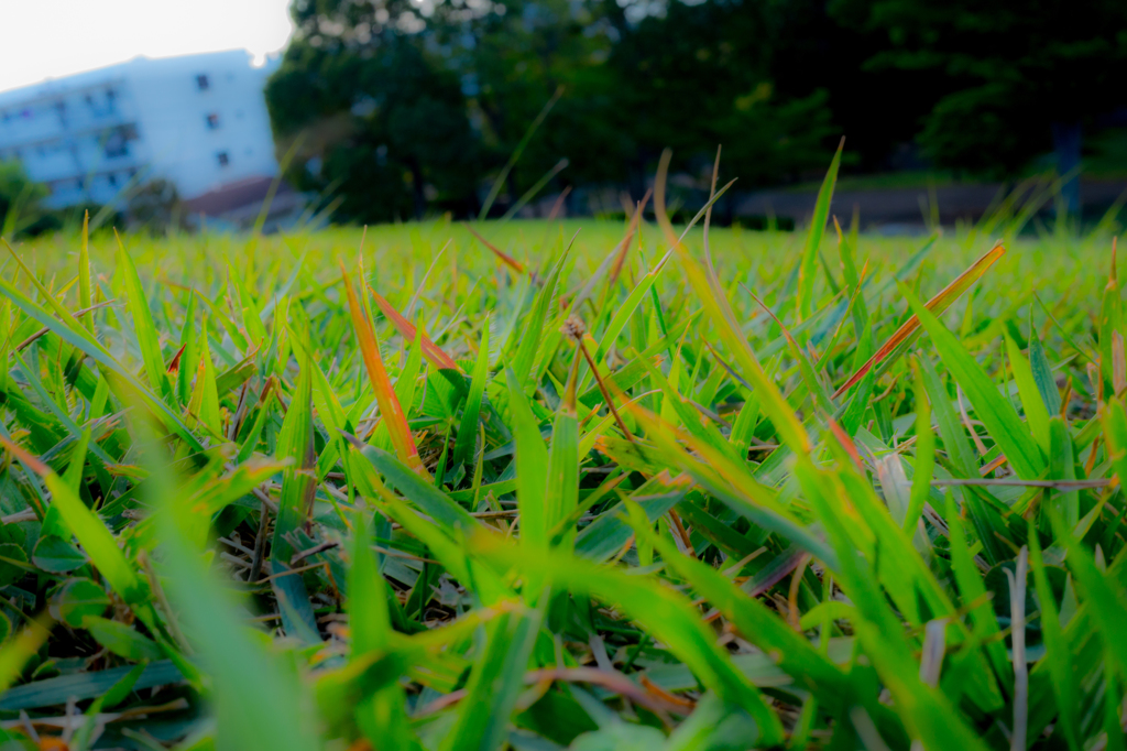 鶴牧東公園