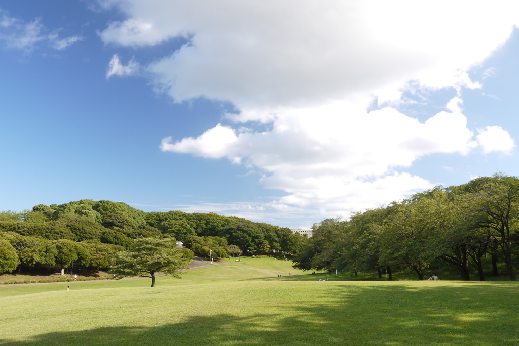 真夏の公園にて