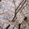 近所の寺_02