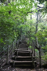 森林公園にて