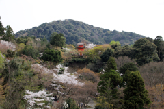 清水の舞台から（眺め）