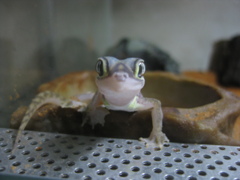 こんにちわ！
