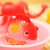おふろば