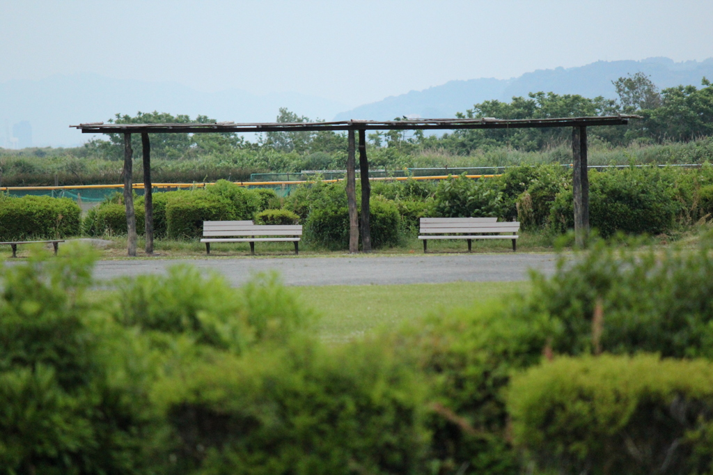 距離感