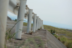 道
