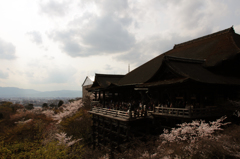 清水寺の春