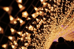 GoldLight Flower Road