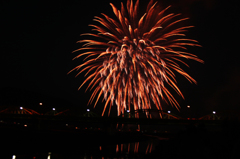 夜空に咲く花
