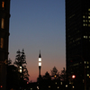 Magic Hour in Tokyo