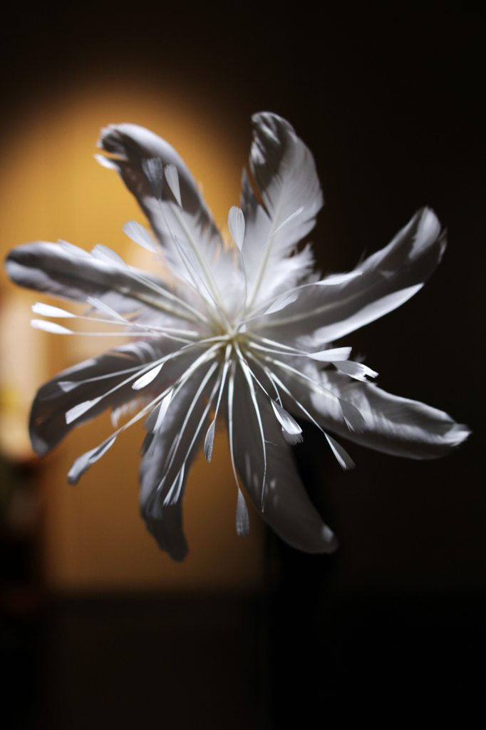 花　feather flower