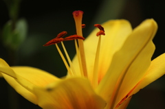 繁栄