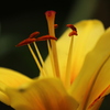 繁栄