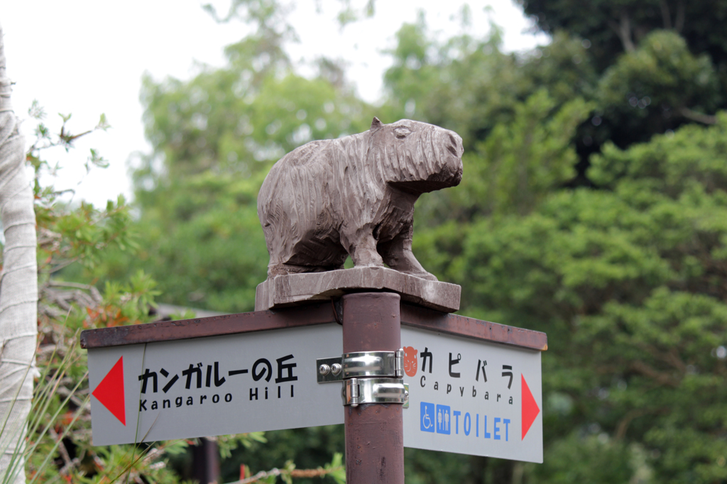 こんなとこにも