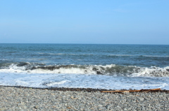 海