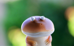 存在感