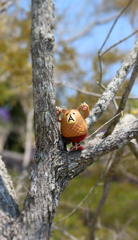 木登り