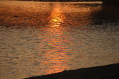 Sunset Light