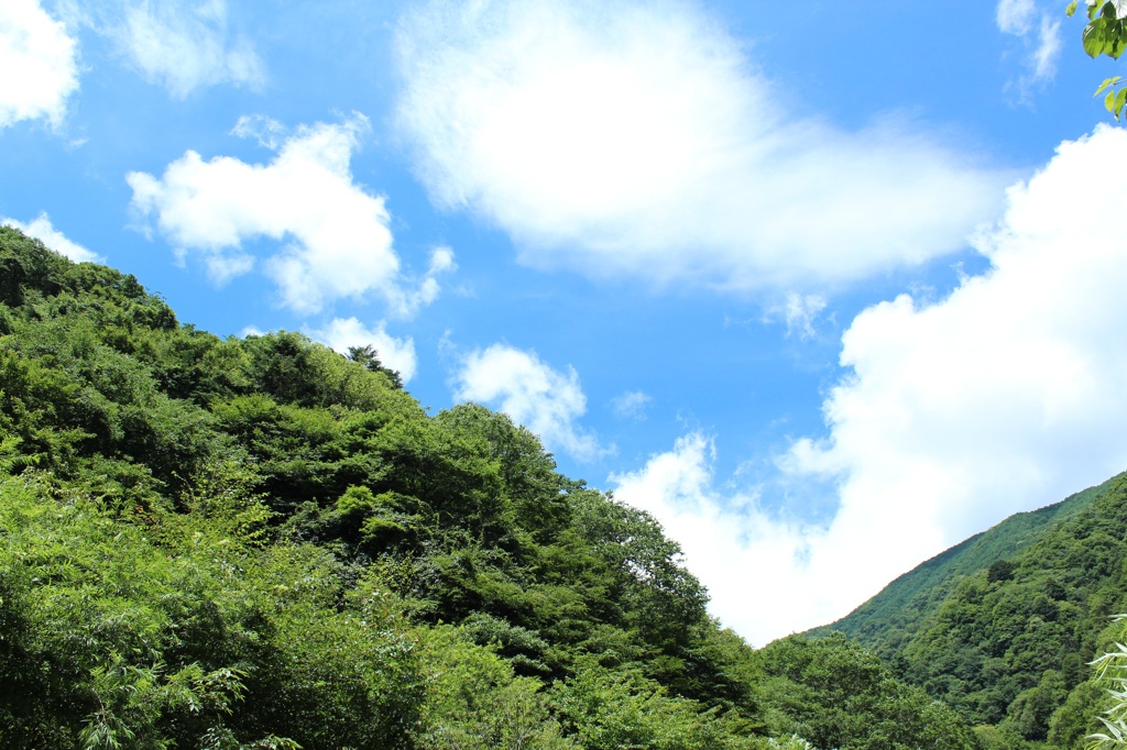 渓谷からの空