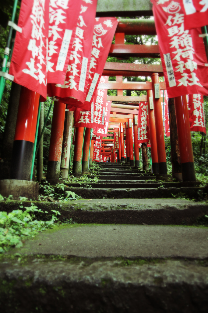 奥へ奥へ