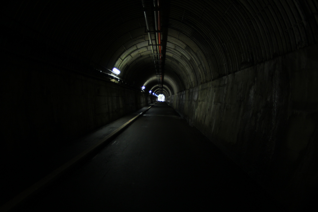 Road of reincarnation