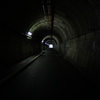 Road of reincarnation