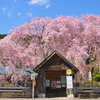 春の喜び