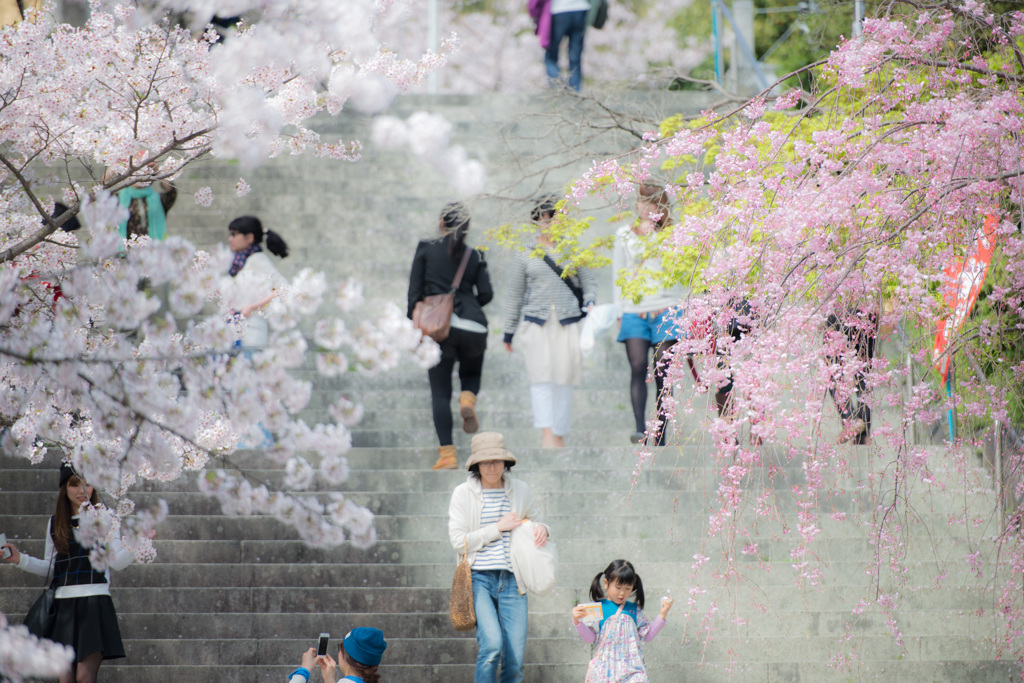 西公園「福岡県」