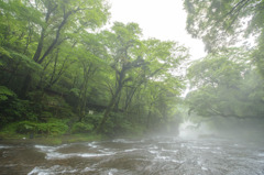 菊池渓谷 