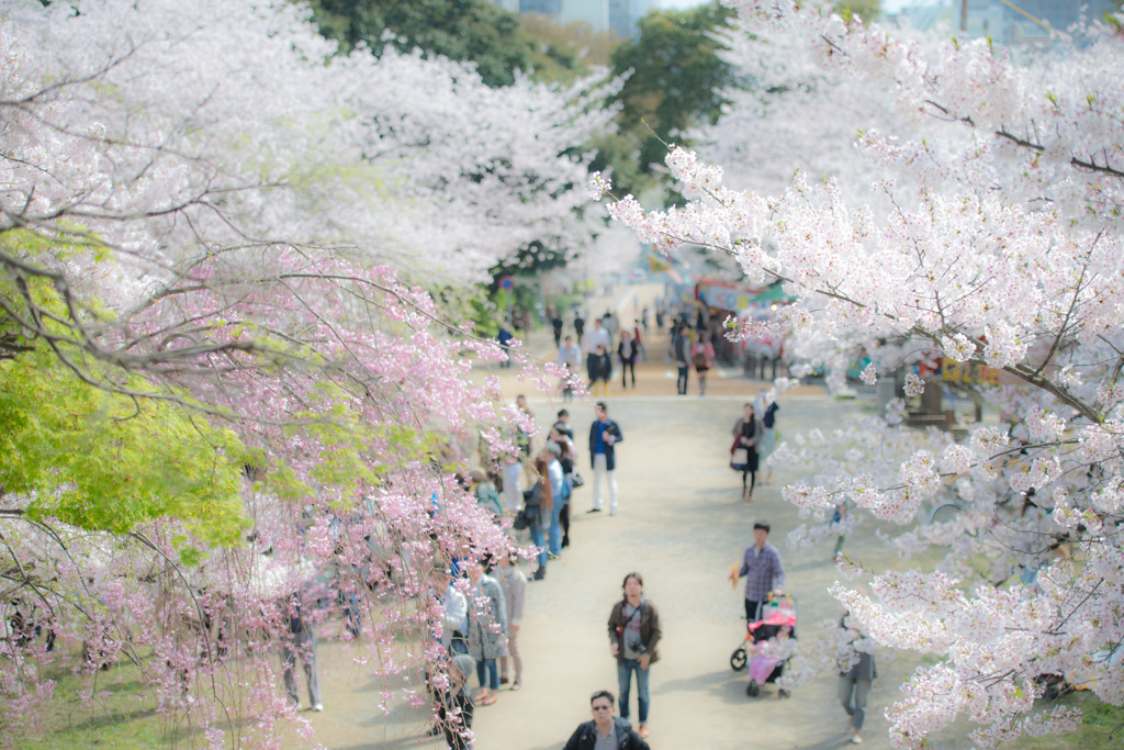 西公園「福岡県」