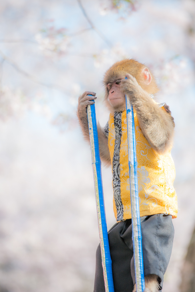 西公園「福岡県」
