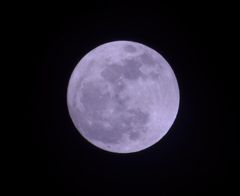 満月でした。