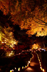 小城「清水竹灯り」