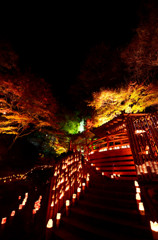 小城「清水竹灯り」