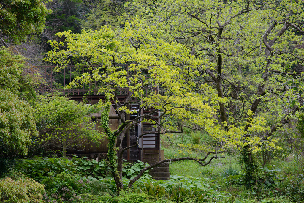 黒髪山「佐賀県」