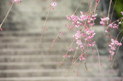 西公園「福岡県」