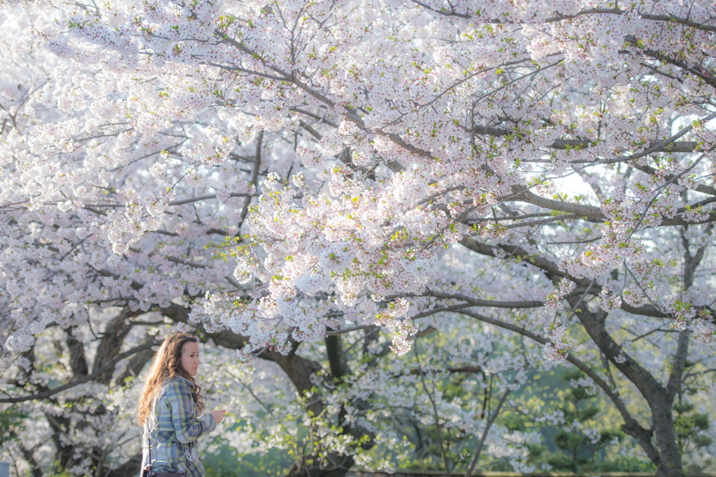 西公園「福岡県」