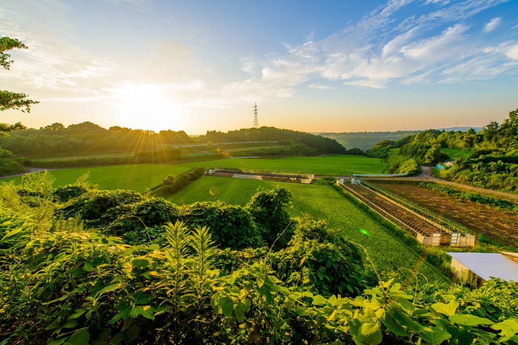 田舎の夕暮れ