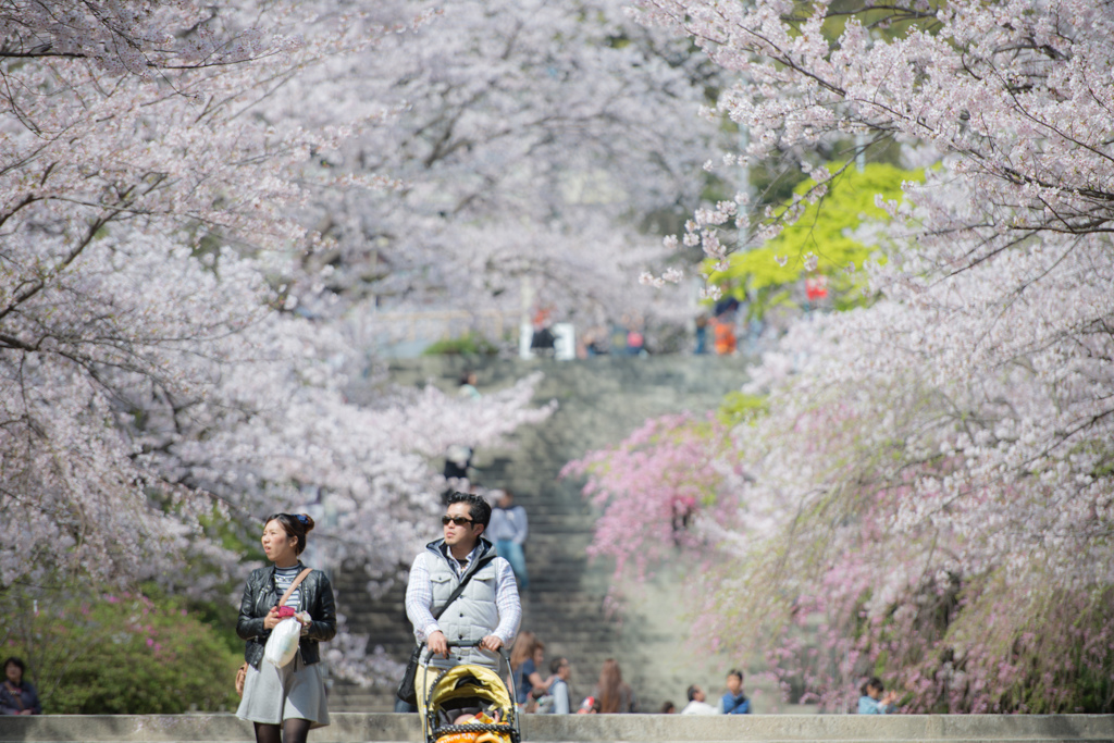 西公園「福岡県」