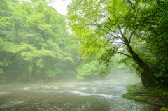 菊池渓谷 