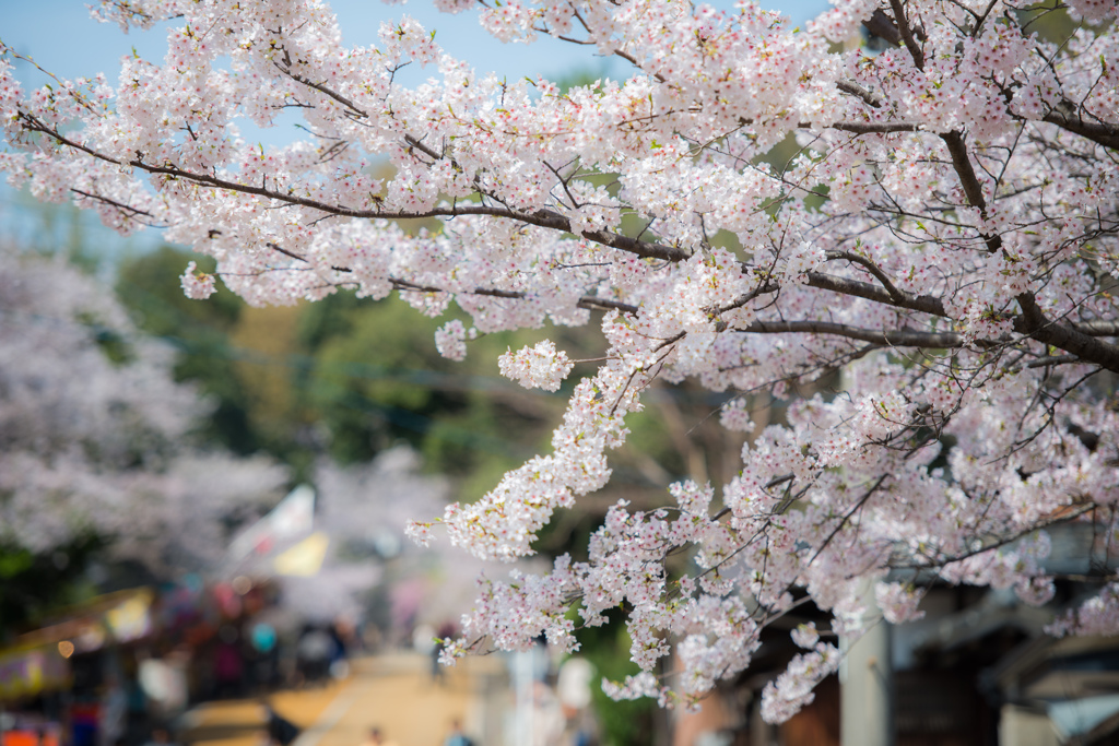 西公園「福岡県」