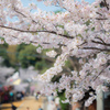 西公園「福岡県」