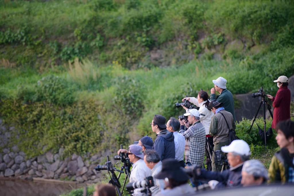 浜野浦の棚田「佐賀県東松浦郡玄海町」