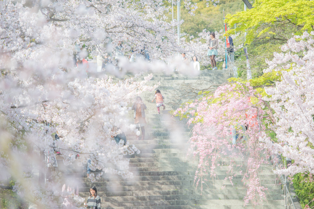 西公園「福岡県」