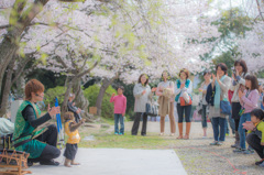 西公園「福岡県」