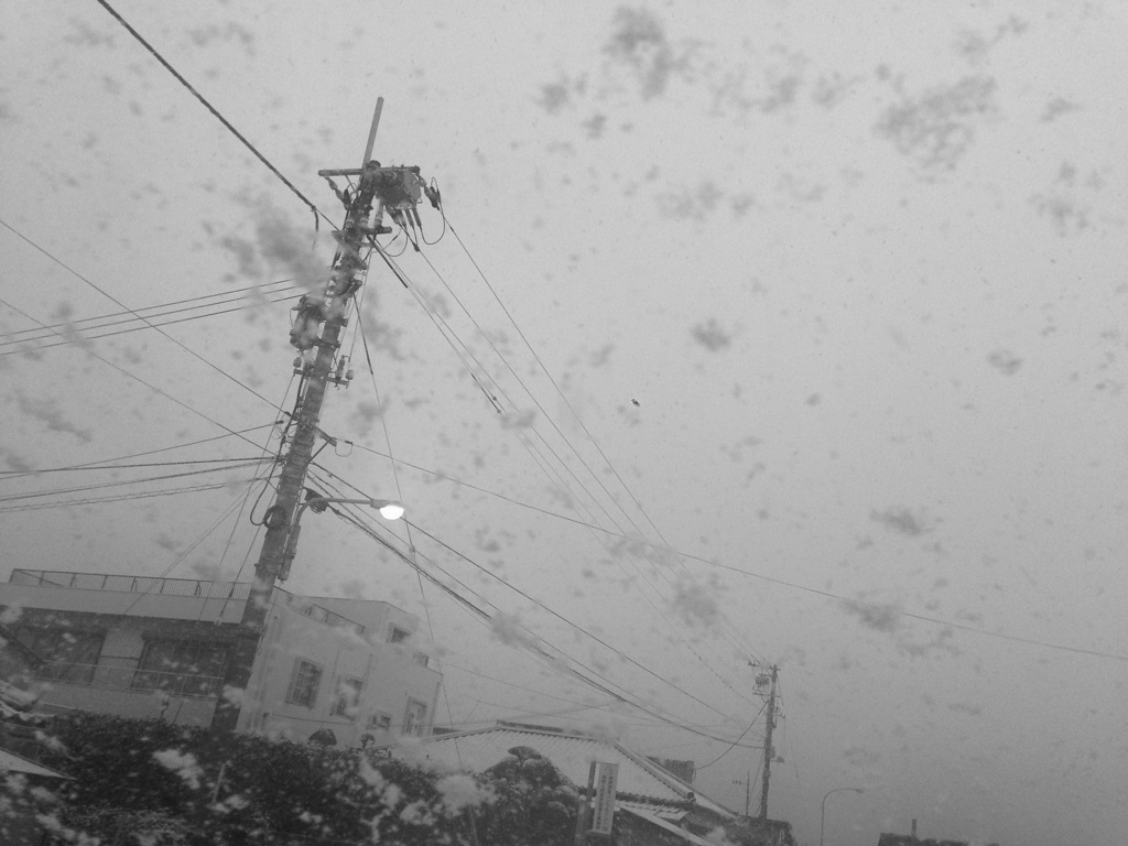 雪の朝