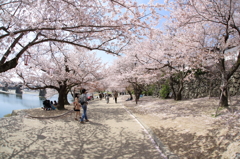 花漏日