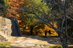 苗木城跡の紅葉