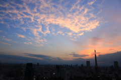 東京の夕景
