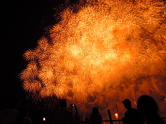 夜空に咲く花