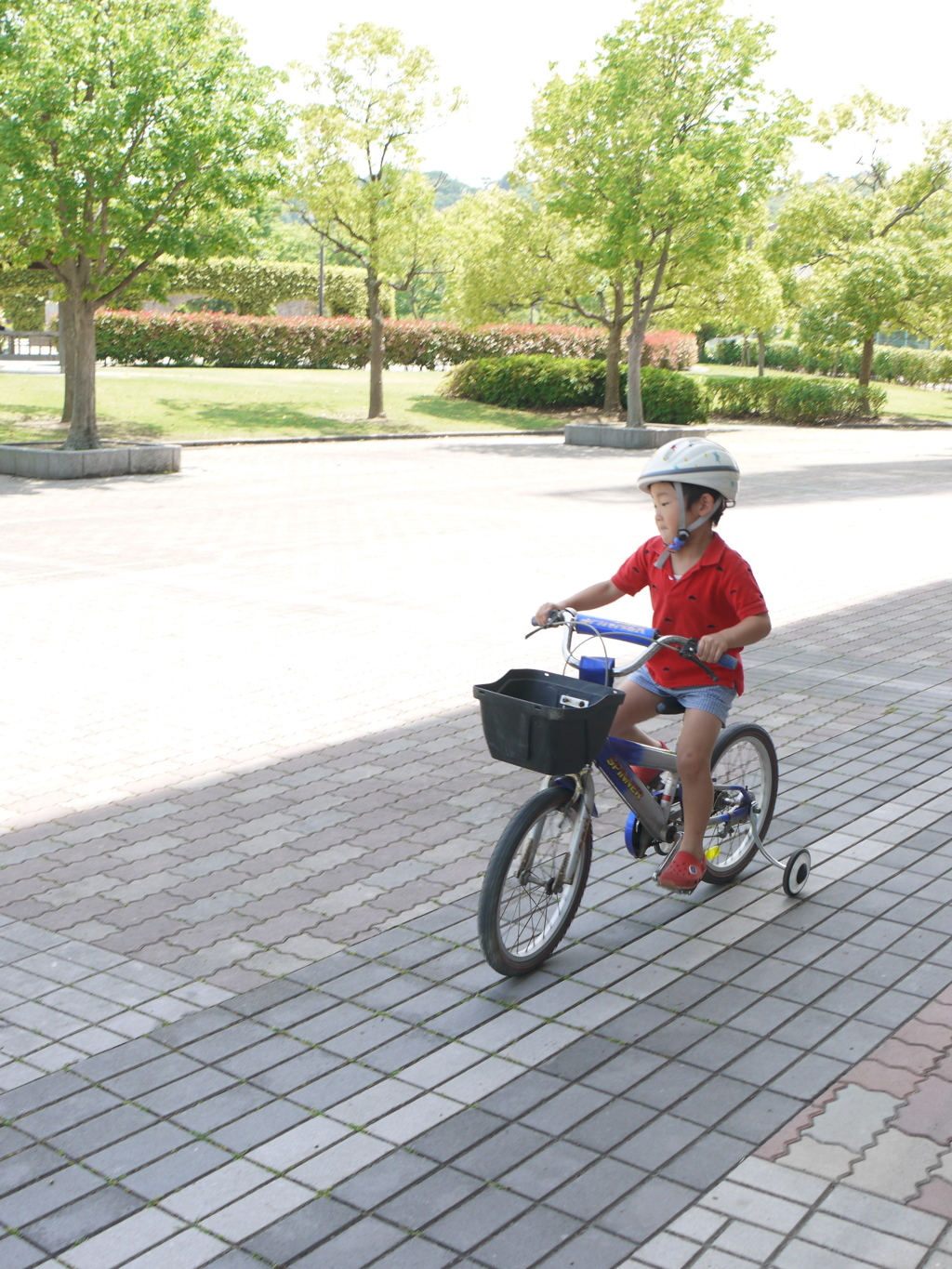 自転車の練習